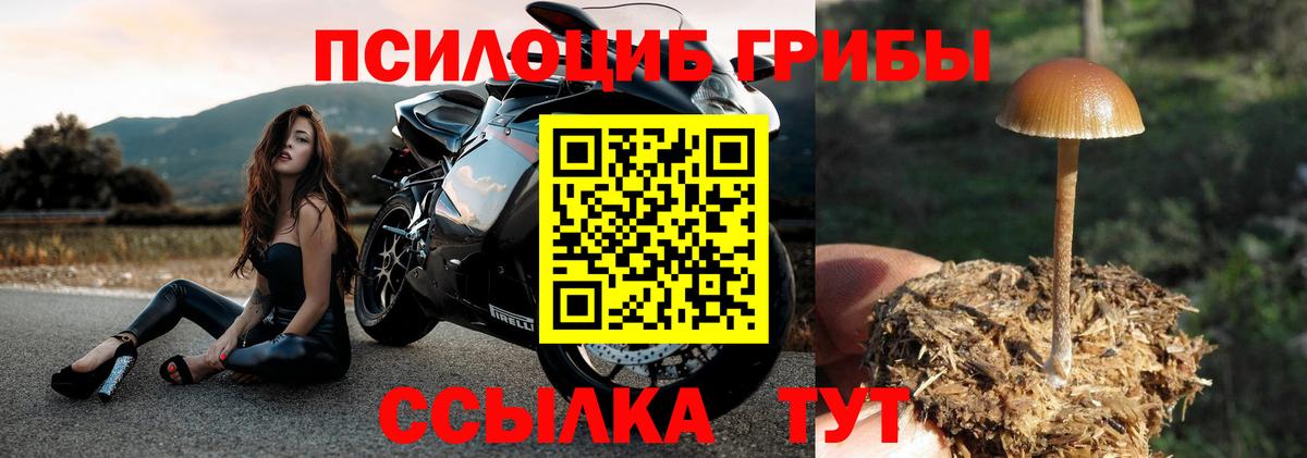 Галлюциногенные грибы Psilocybe  Вход с VPN  Белорецк  Галлюциногенные грибы ЛСД 